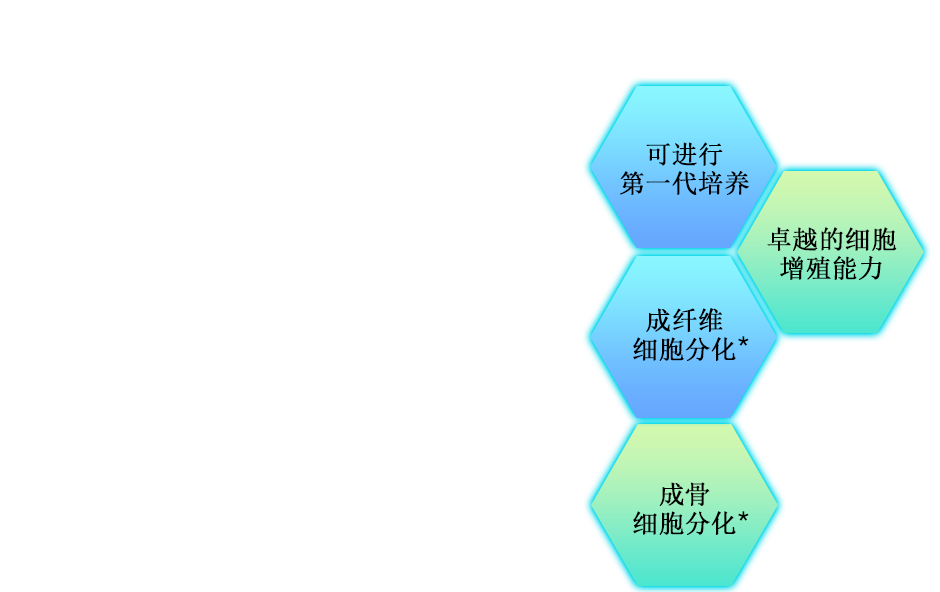 用于间充质干细胞的无血清 AOF