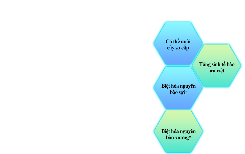 Môi trường nuôi cấy tế bào gốc trung mô AOF không chứa huyết thanh