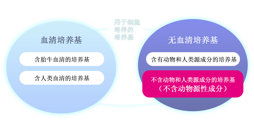干细胞培养