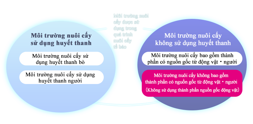 Môi trường nuôi cấy được sử dụng trong quá trình nuôi cấy tế bào